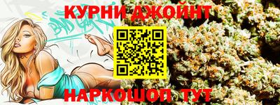 индика Заволжье