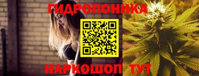индика Заволжье