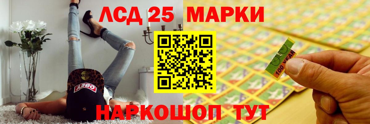 Псилоцибиновые грибы Мурманск