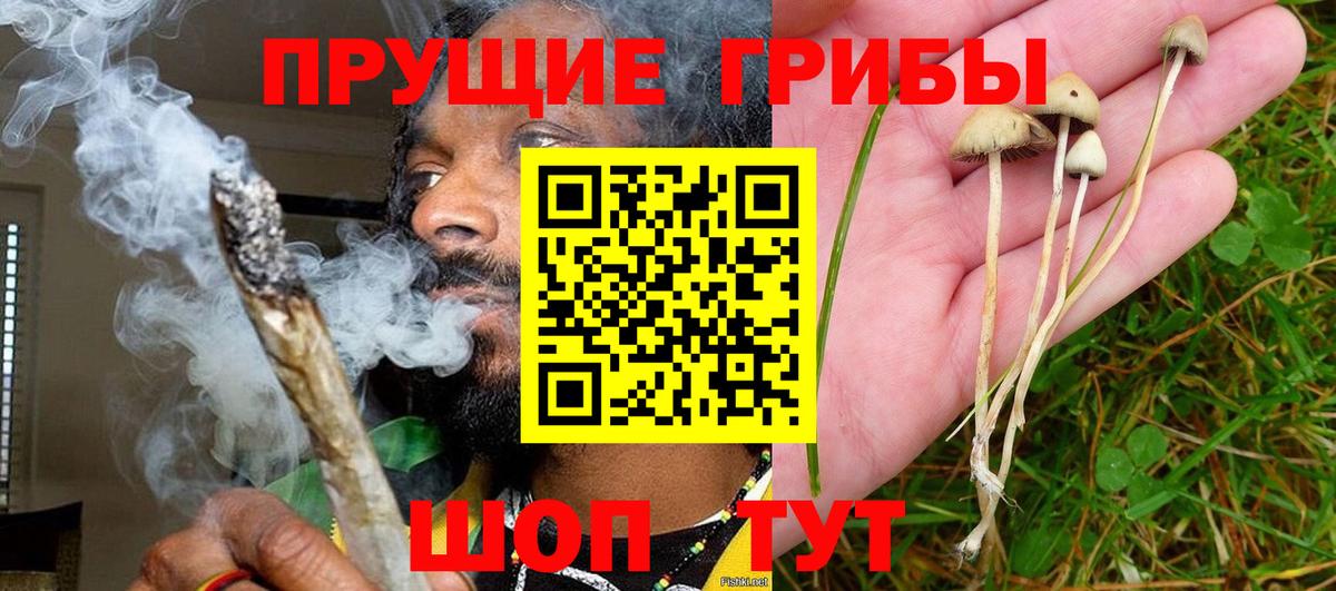 Галлюциногенные грибы GOLDEN TEACHER  Вход с VPN  Мурманск 